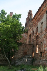 Zamek Siedlisko (20060815 0017)